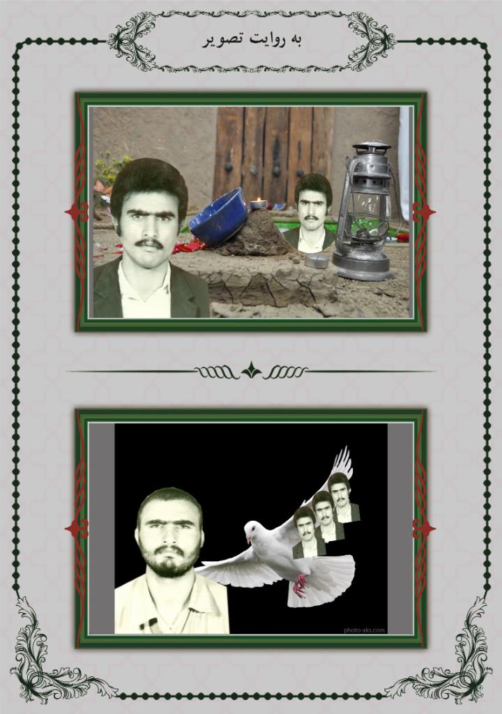 فاقد تصویر